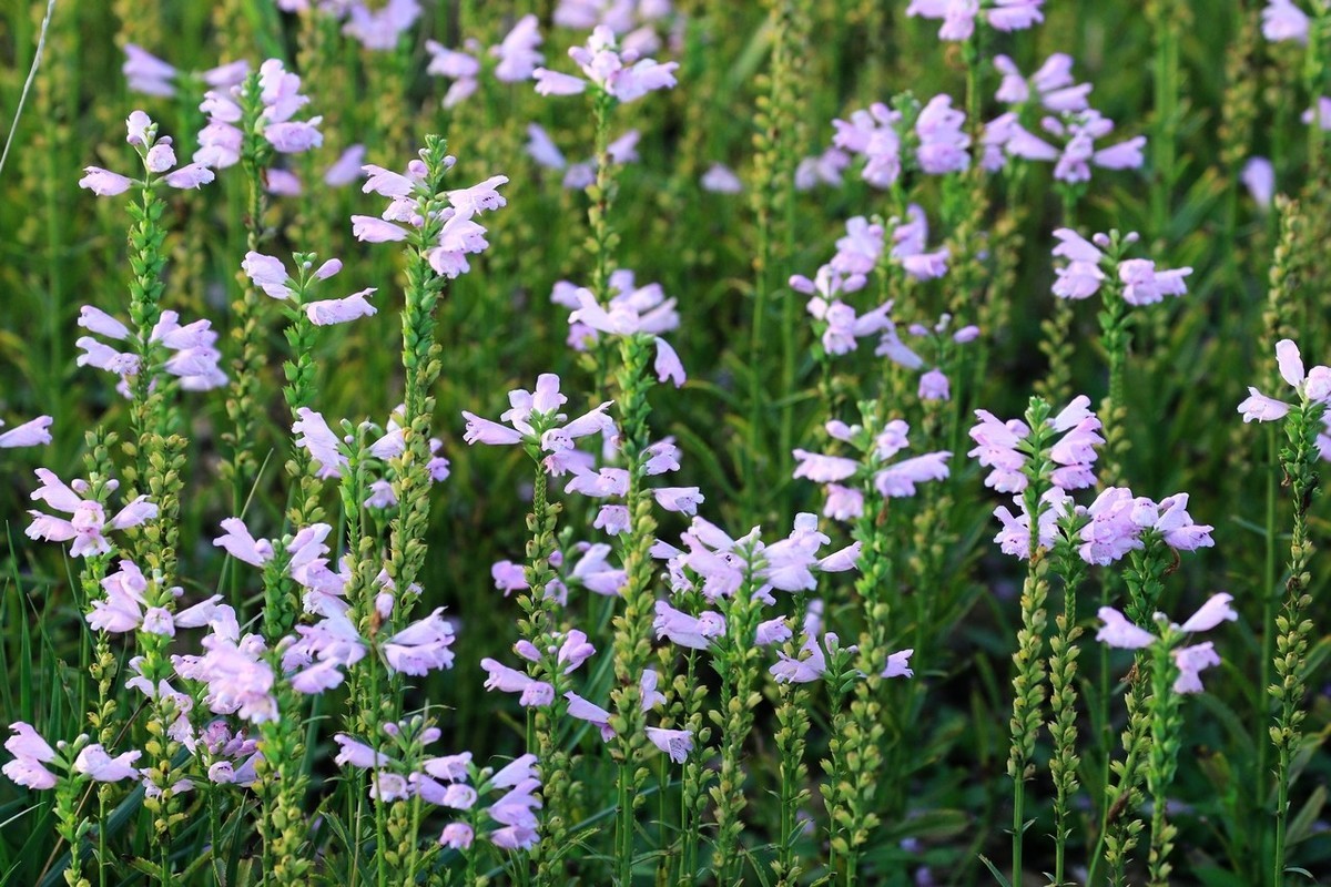 7D2是个好机器啊！