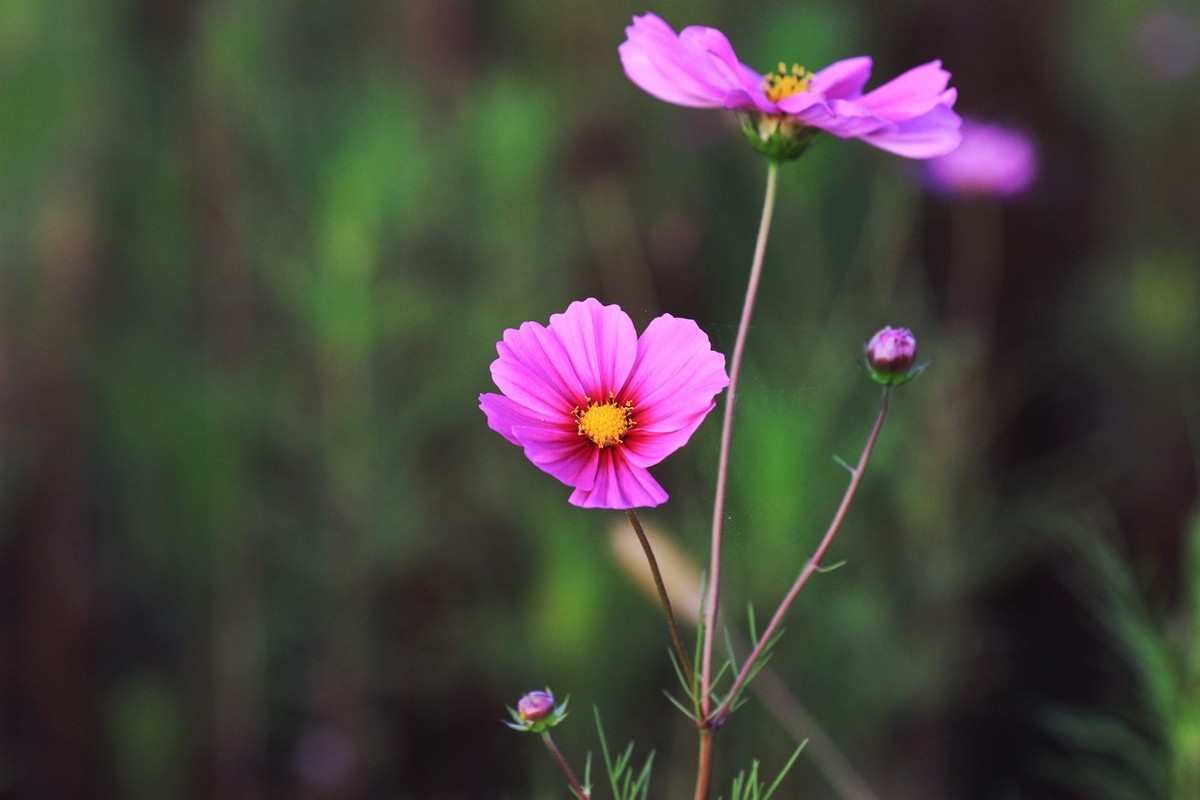 7D2是个好机器啊！