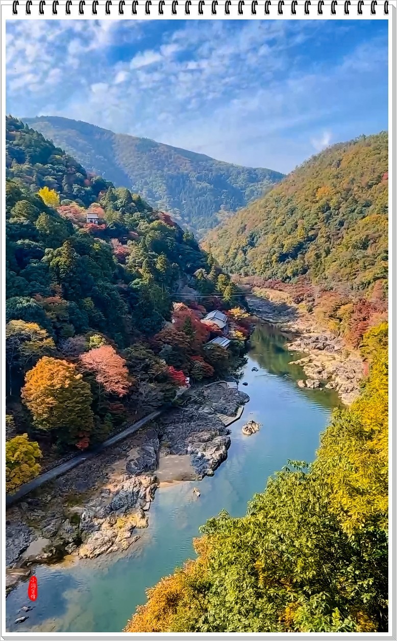 2022年京都岚山云拍-7