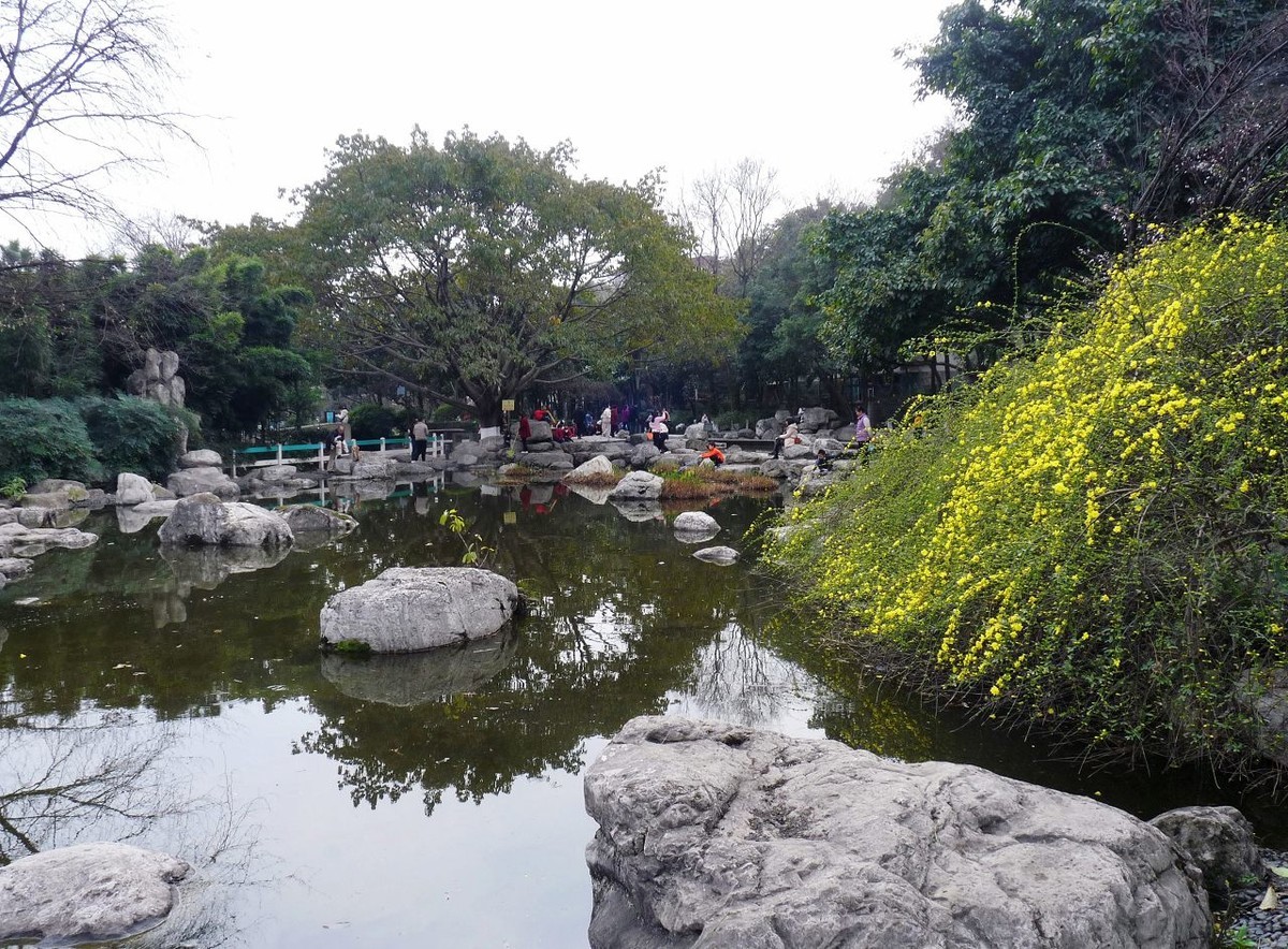 春天杂拍——FZ28仍然不老