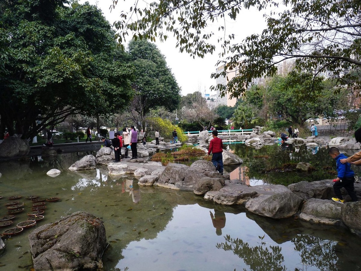 春天杂拍——FZ28仍然不老