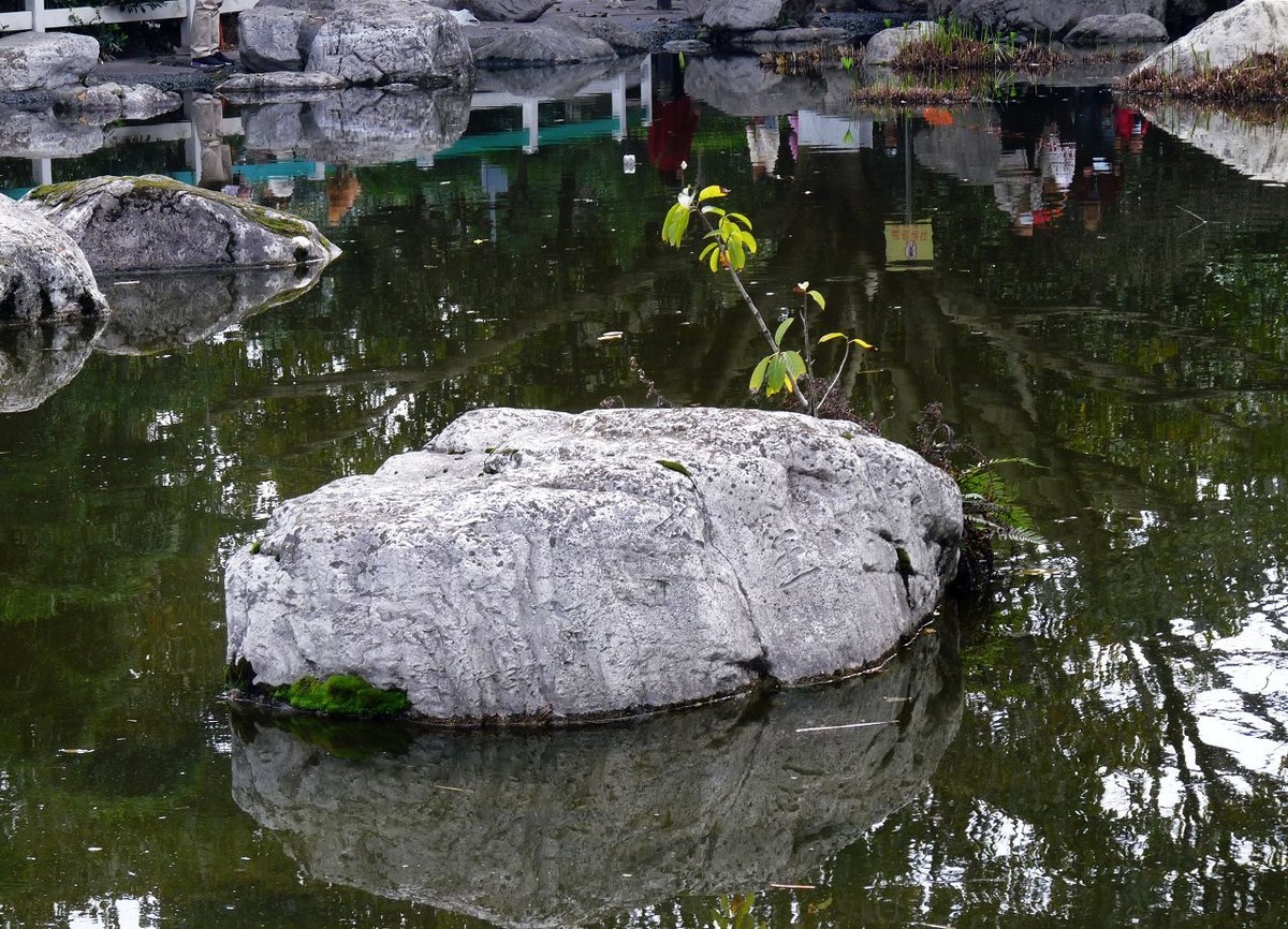 春天杂拍——FZ28仍然不老