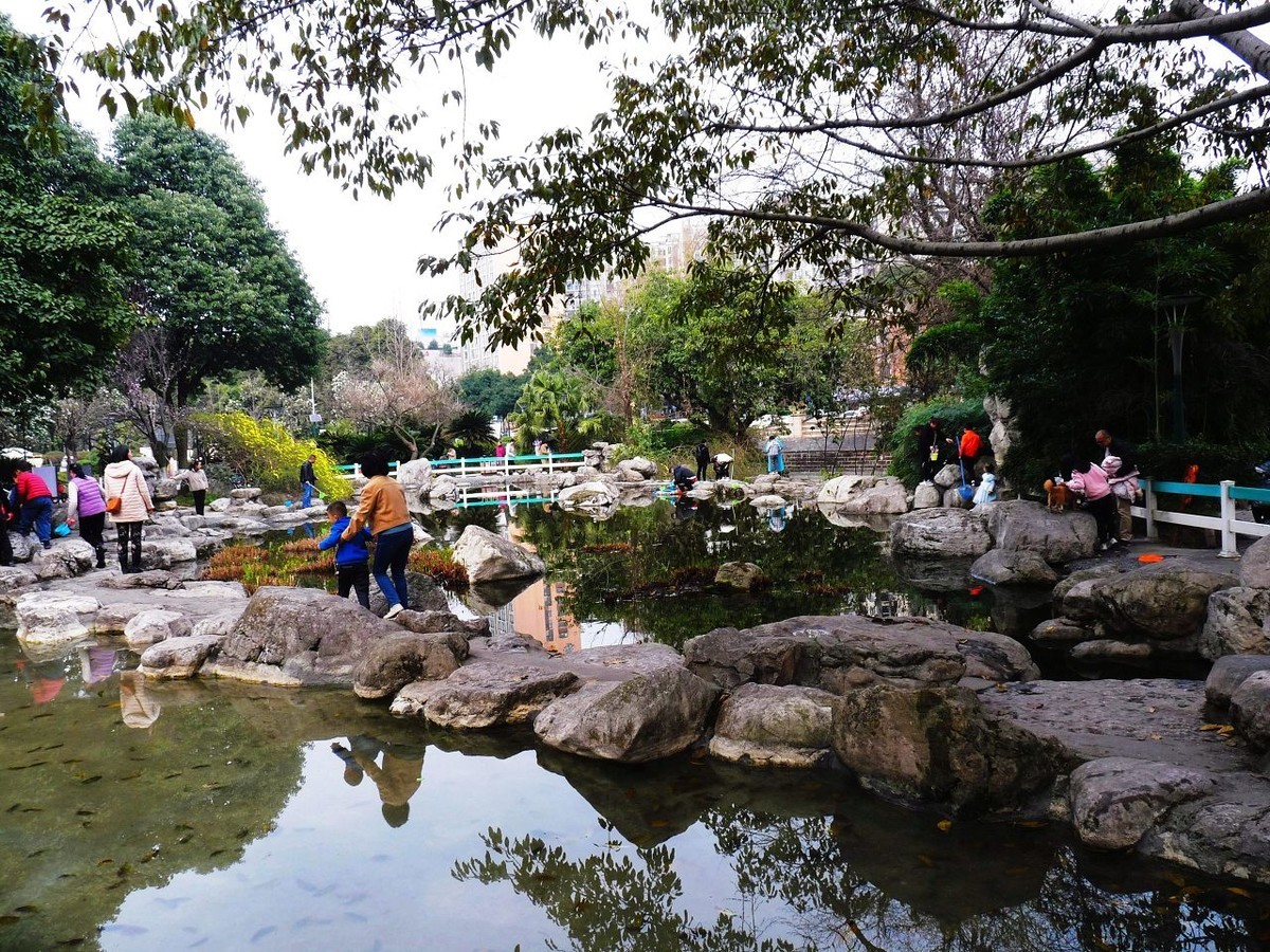 春天杂拍——FZ28仍然不老