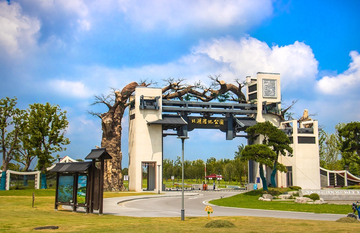 20230811扬州北湖湿地公园三