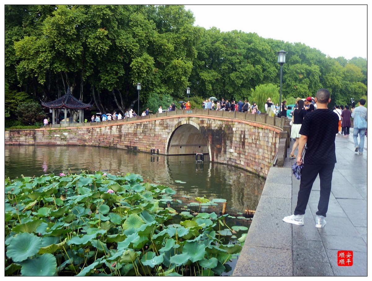 旅游随拍-----浙江杭州西湖(断桥段)风景(下)