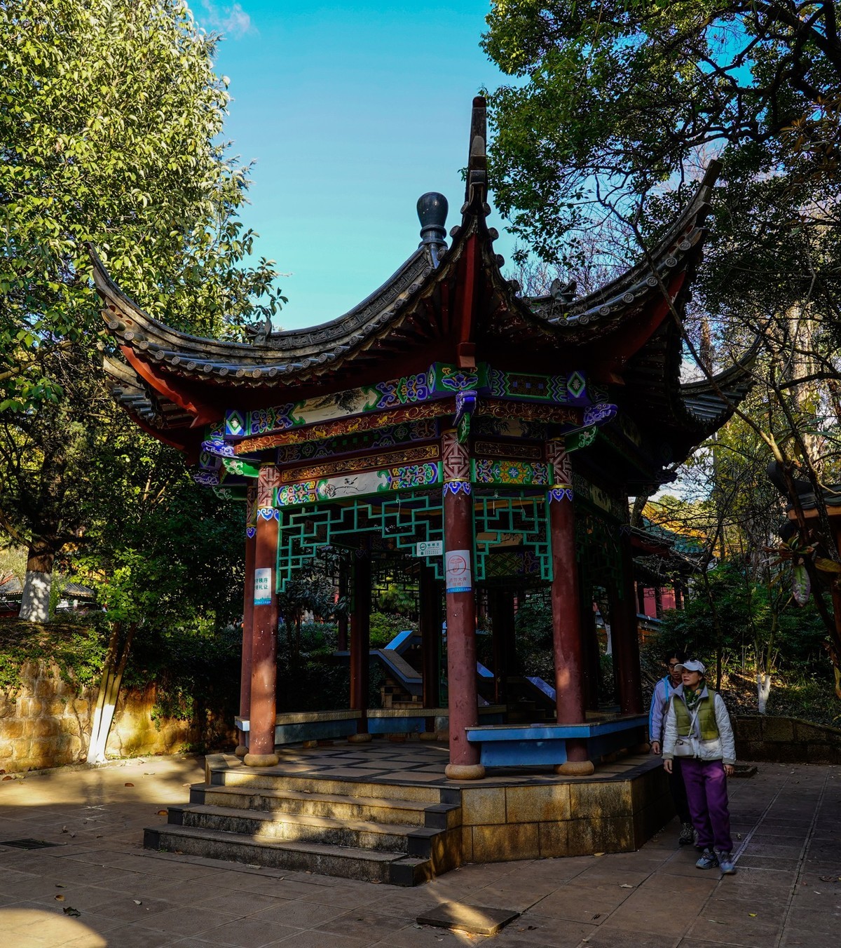 又拍黑龙潭公园（续完）