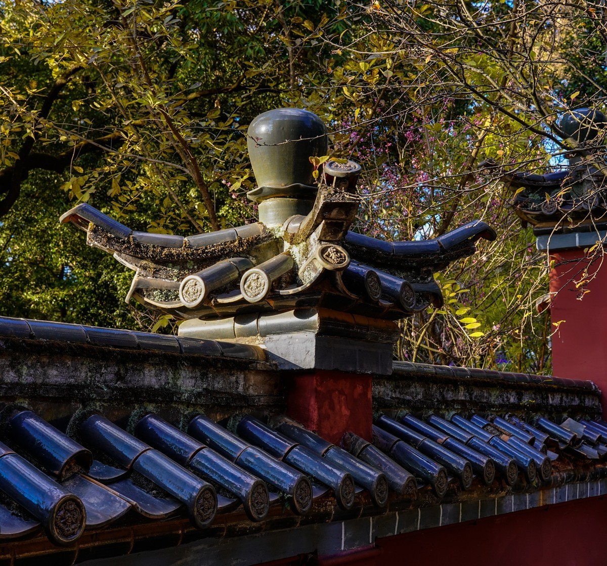 又拍黑龙潭公园（续完）
