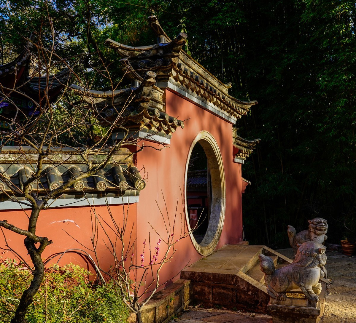 又拍黑龙潭公园（续完）