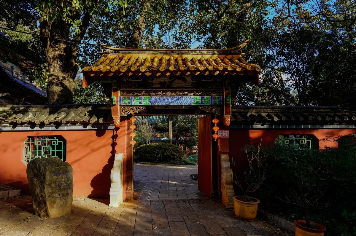 又拍黑龙潭公园（续完）