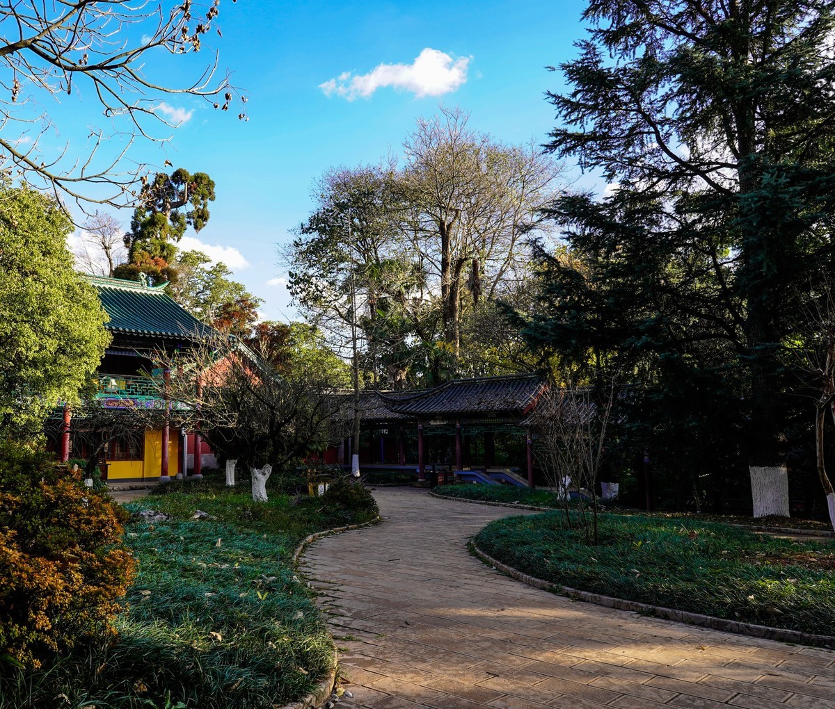 又拍黑龙潭公园（续完）