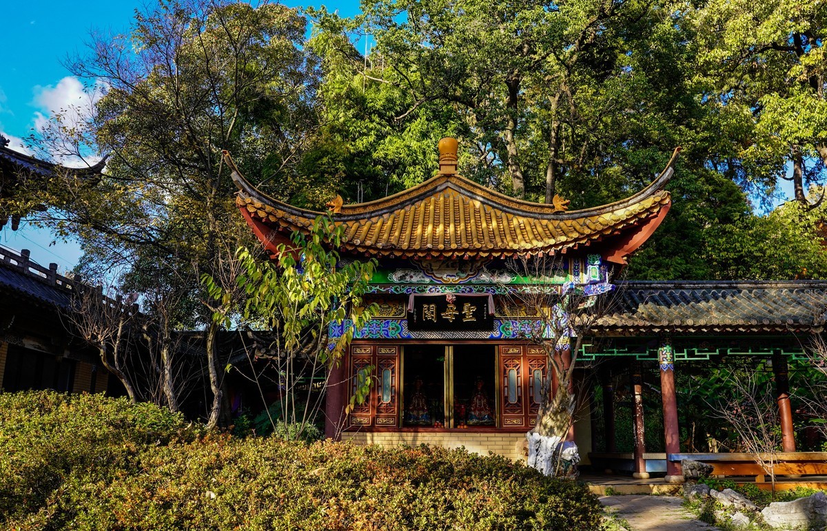 又拍黑龙潭公园（续完）