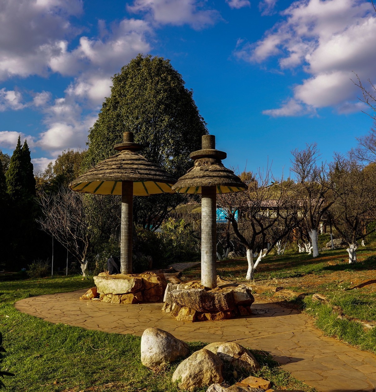 又拍黑龙潭公园（续完）