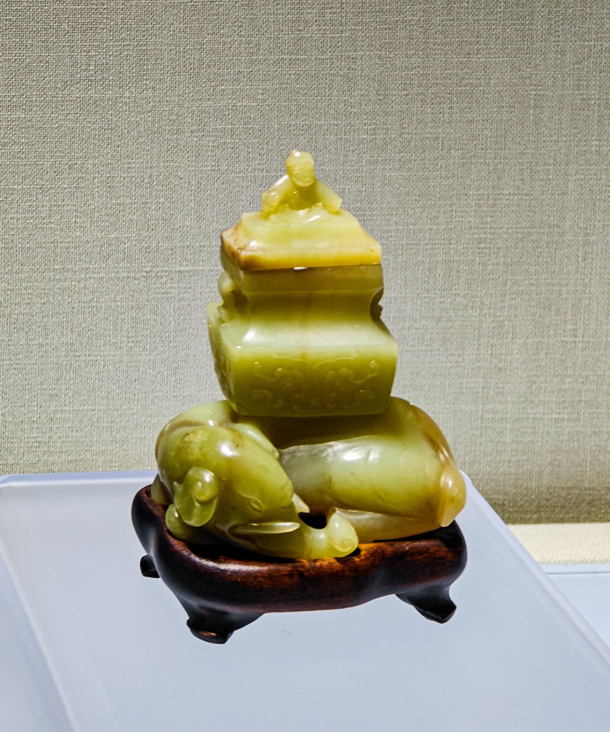 手机随拍20231214《275》