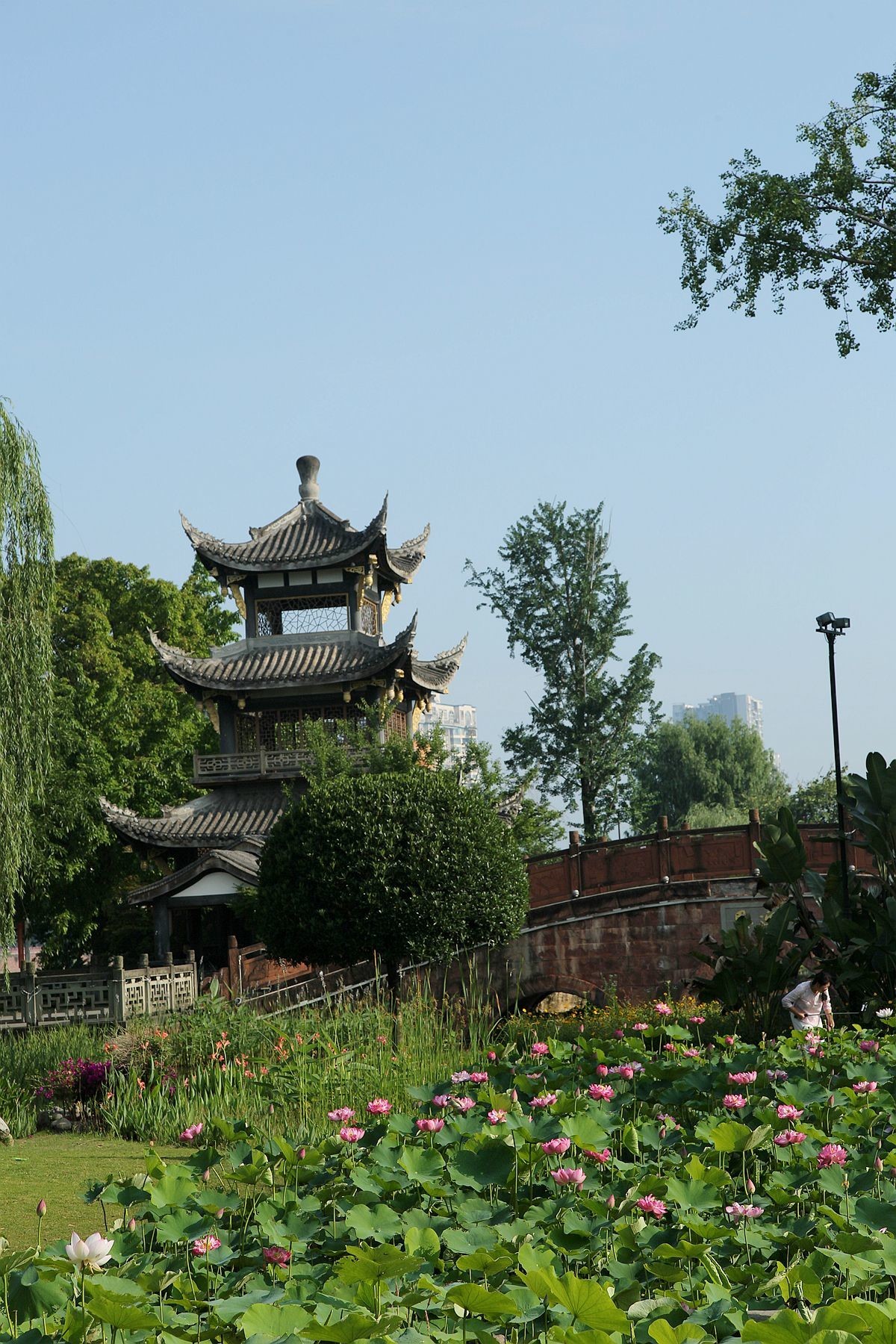 幽幽荷香【二】