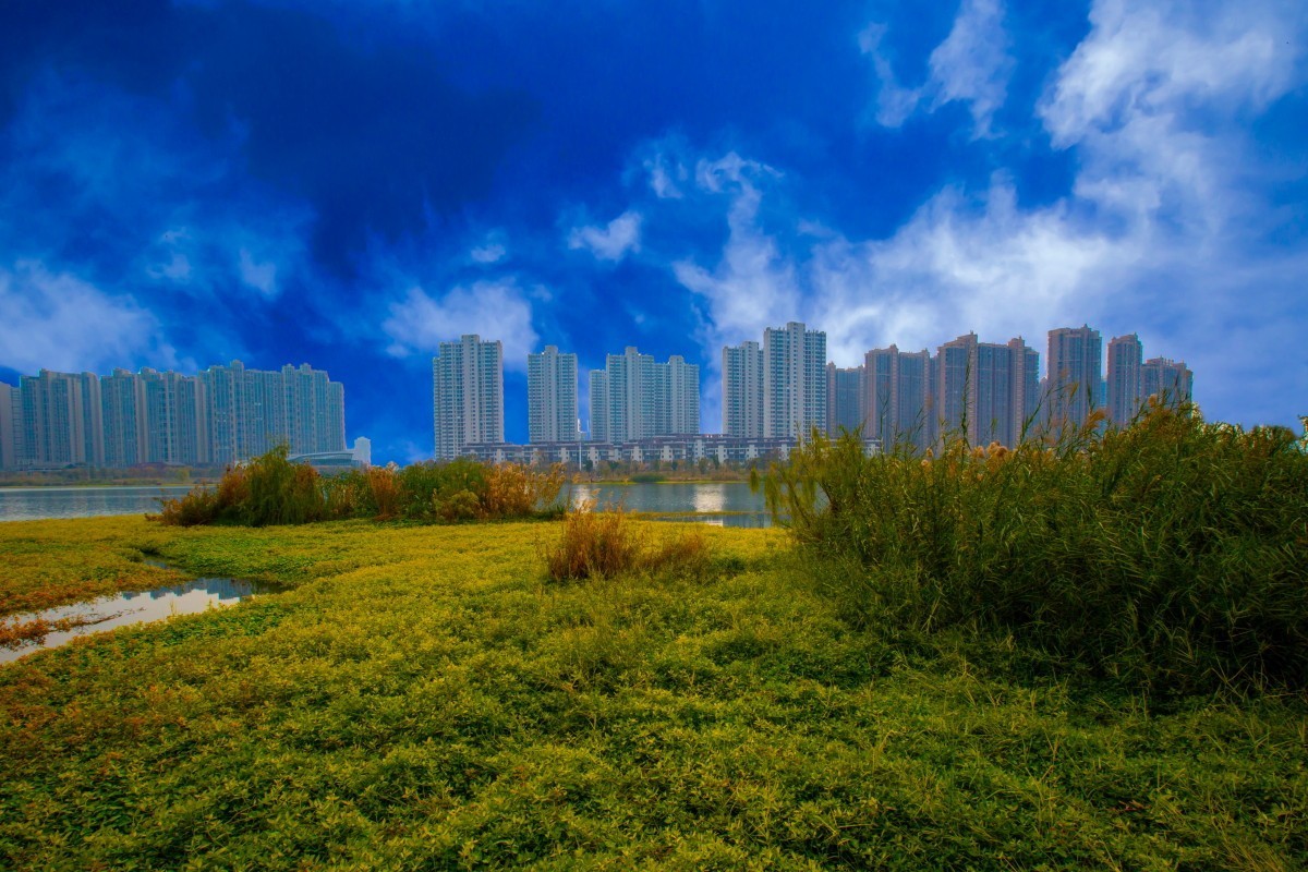 常德柳叶湖风景 28