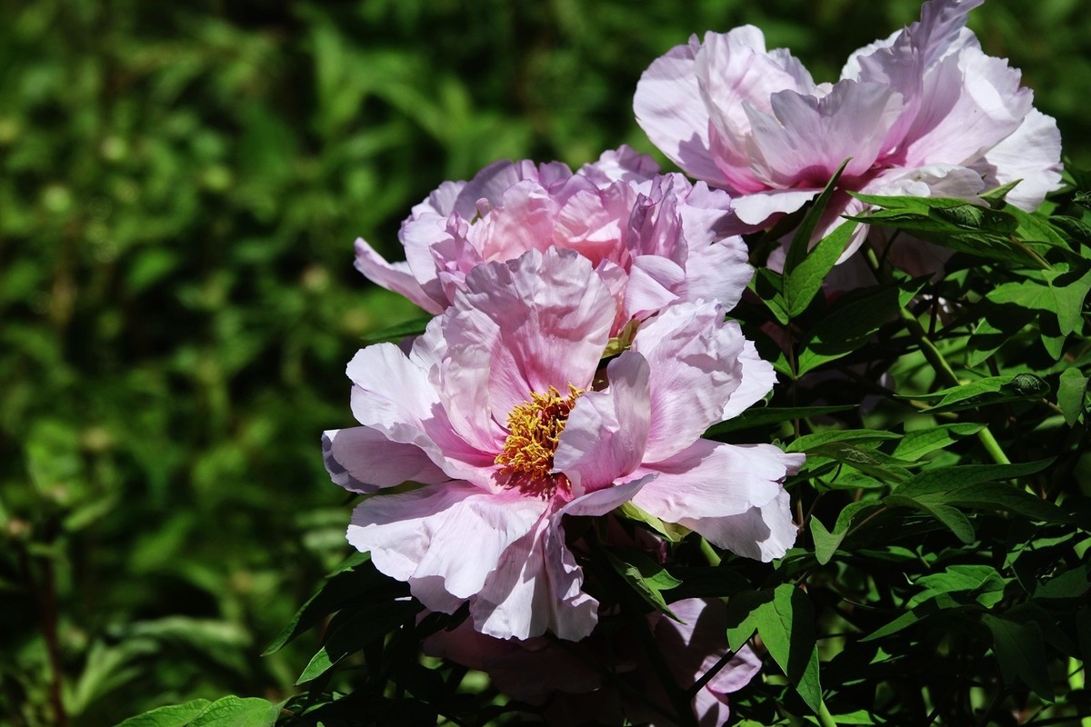 我只是把出去看到的随手记录下来（150）