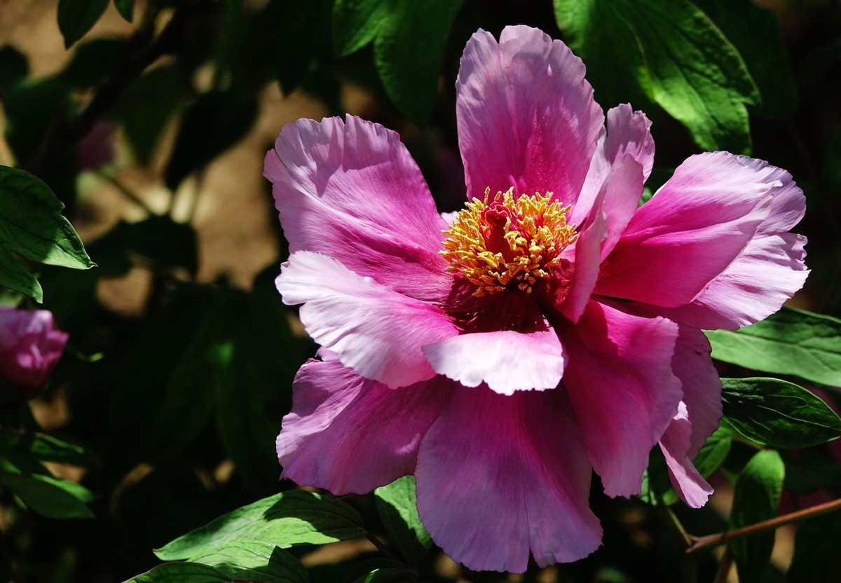 我只是把出去看到的随手记录下来（150）