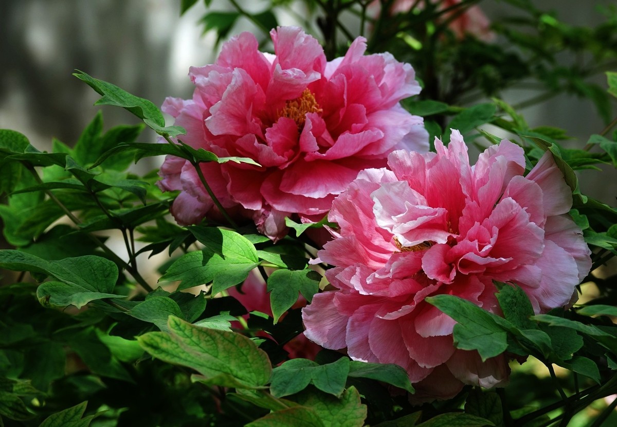 我只是把出去看到的随手记录下来（150）