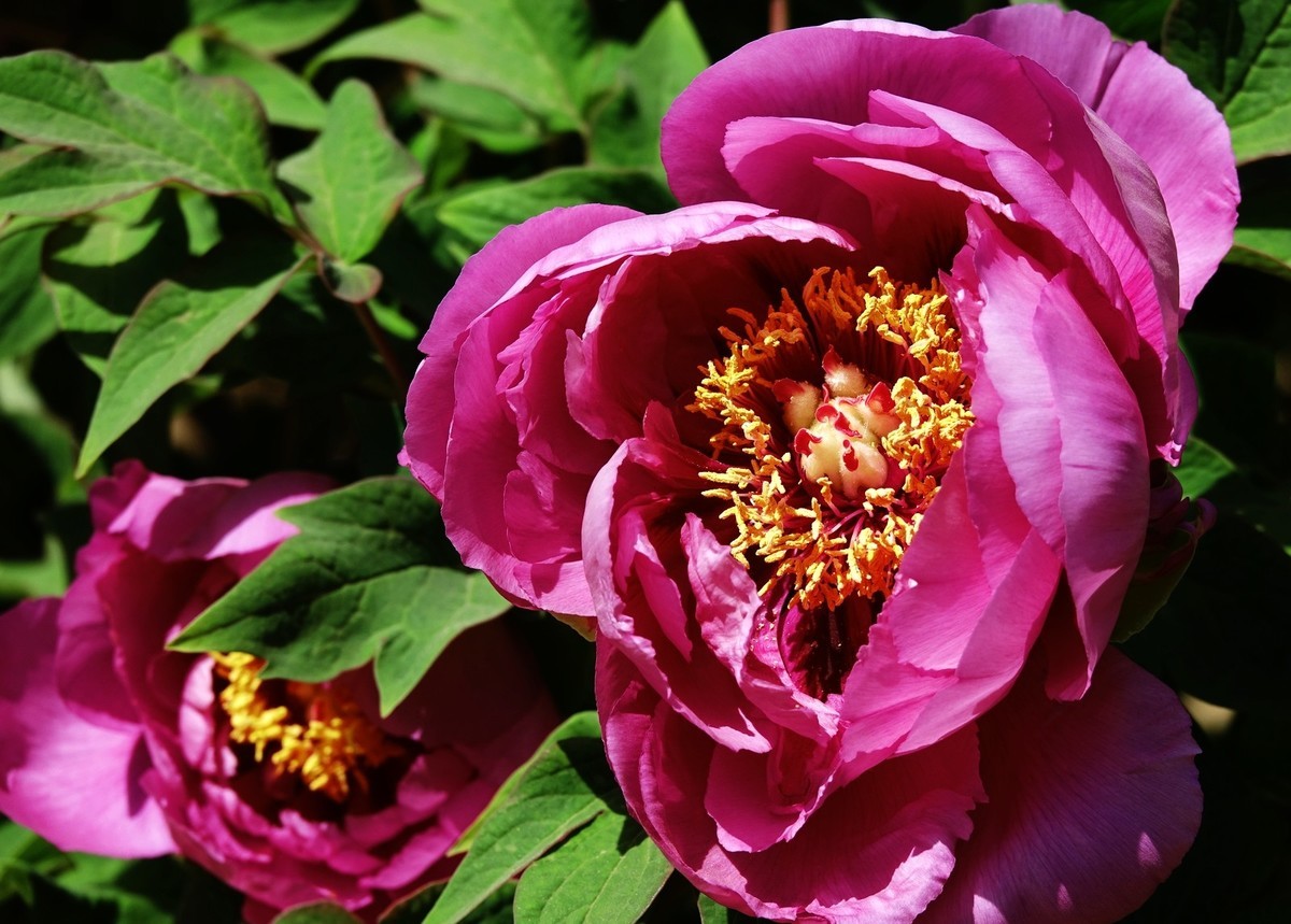 我只是把出去看到的随手记录下来（150）