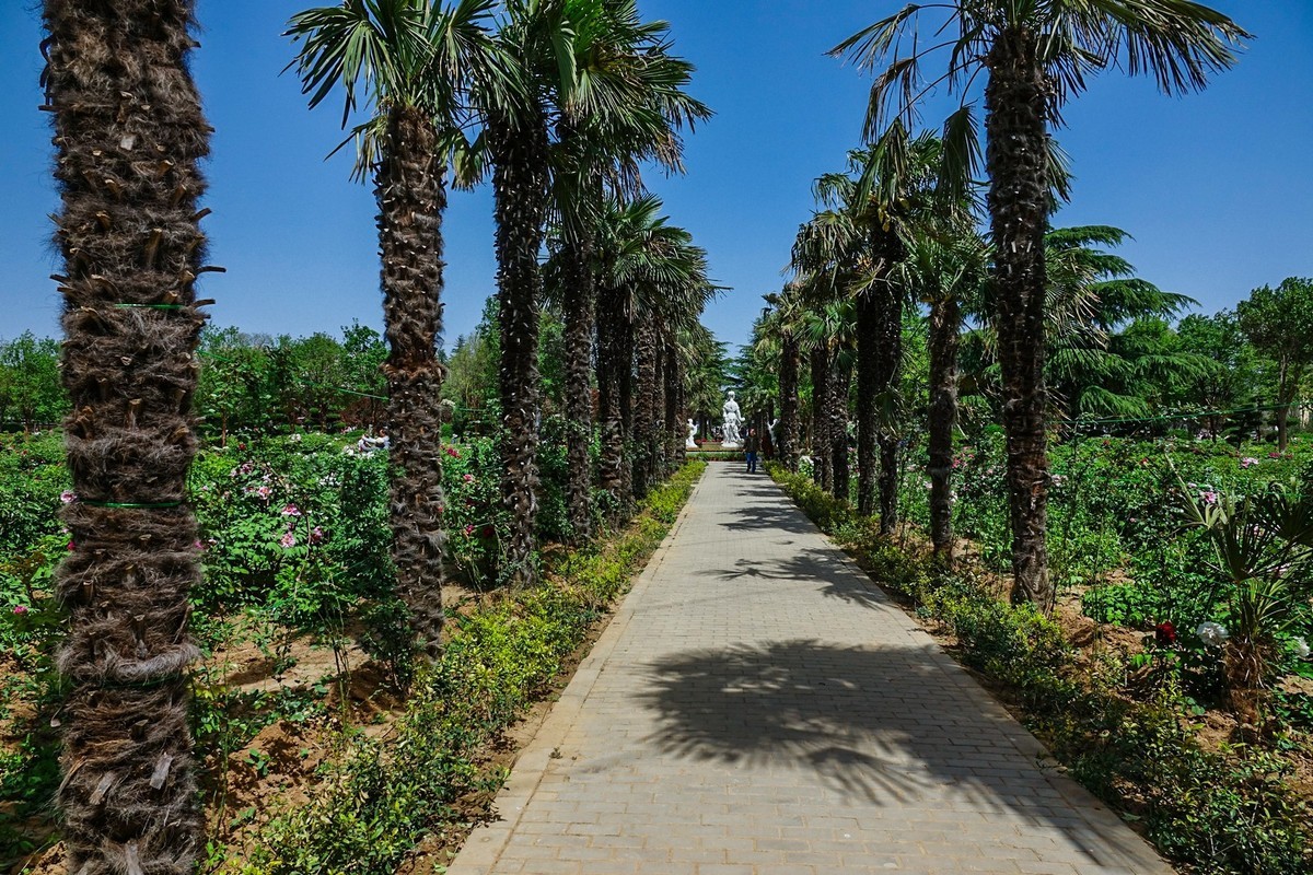 我只是把出去看到的随手记录下来（150）