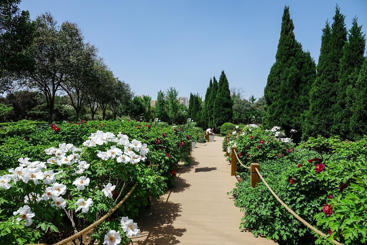 我只是把出去看到的随手记录下来（150）