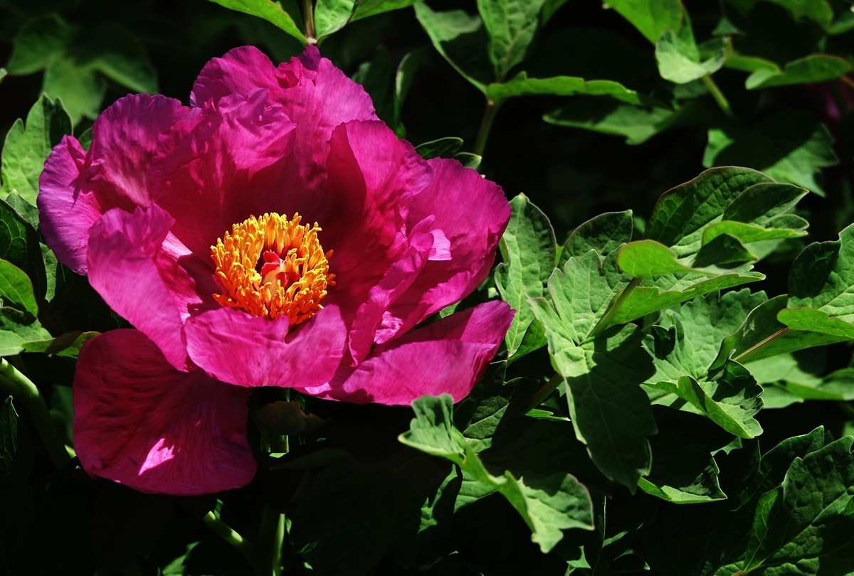 我只是把出去看到的随手记录下来（150）