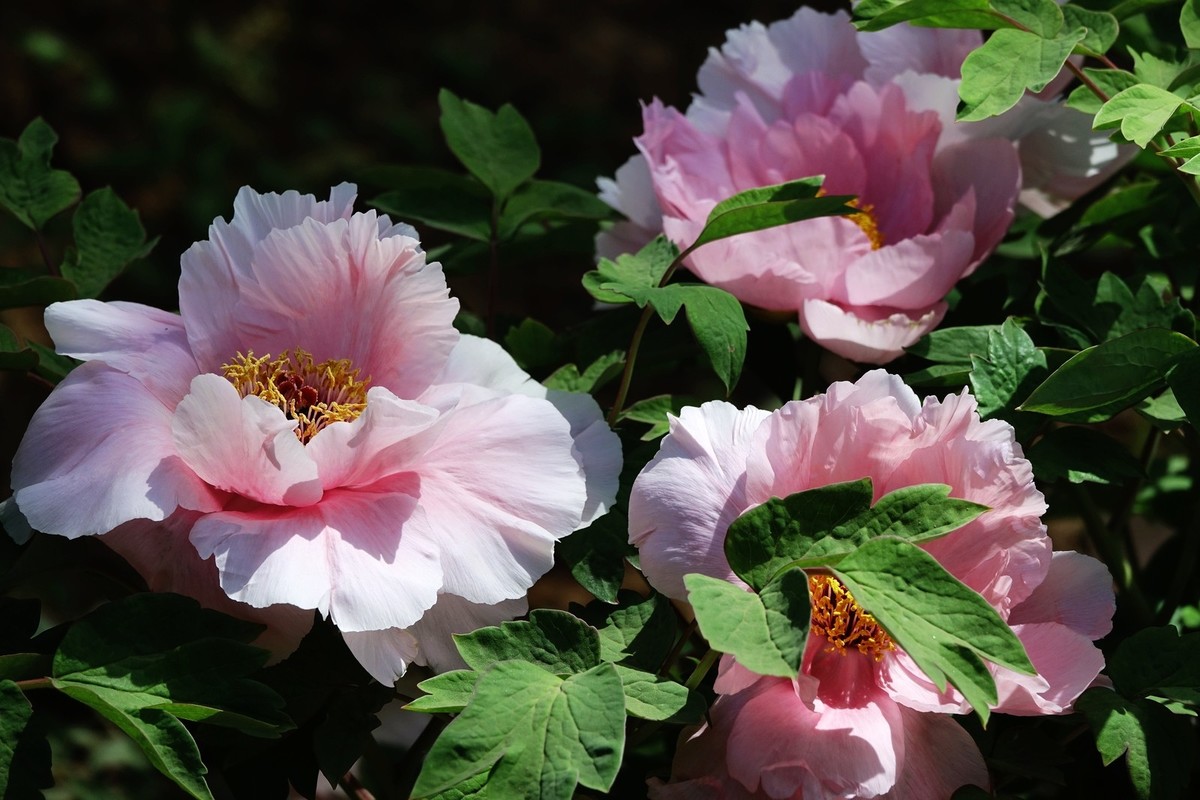 我只是把出去看到的随手记录下来（150）