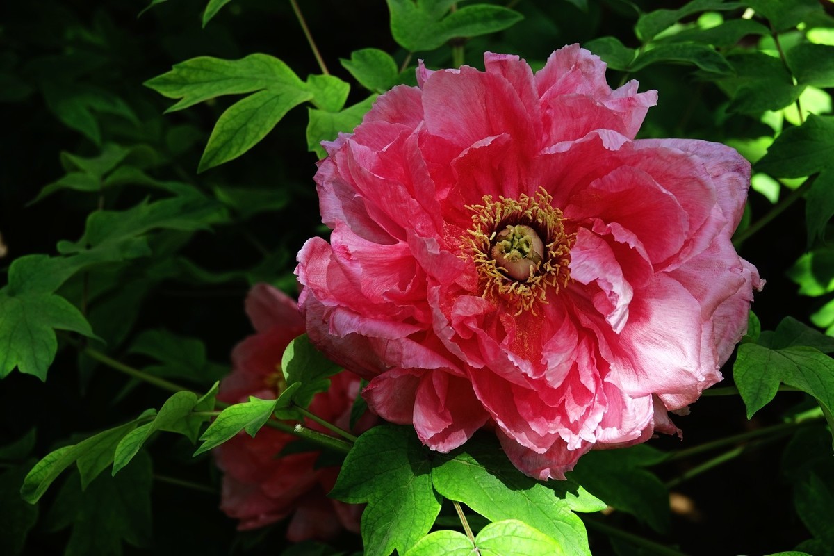 我只是把出去看到的随手记录下来（150）