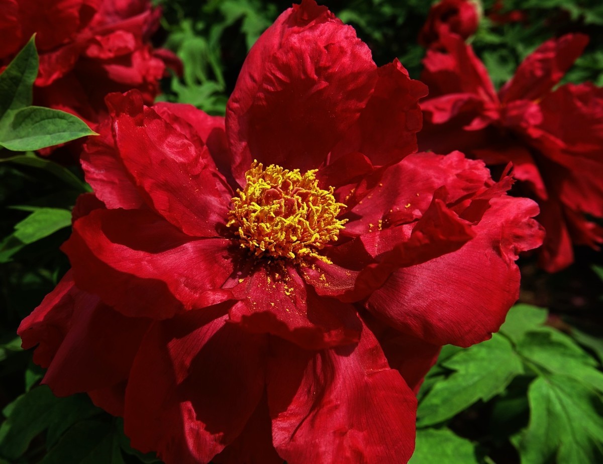 我只是把出去看到的随手记录下来（150）