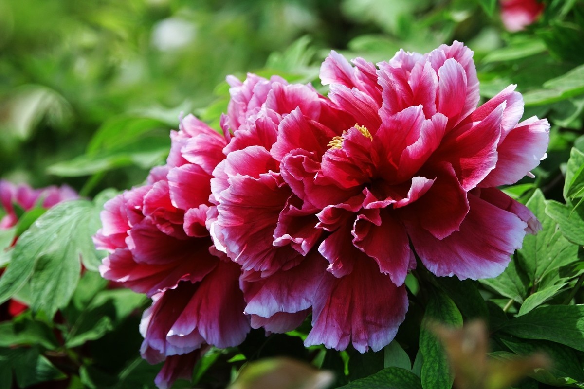 我只是把出去看到的随手记录下来（150）