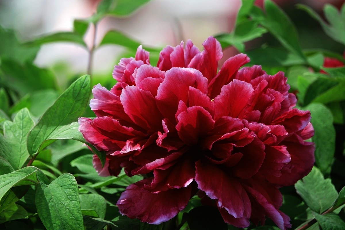 我只是把出去看到的随手记录下来（150）