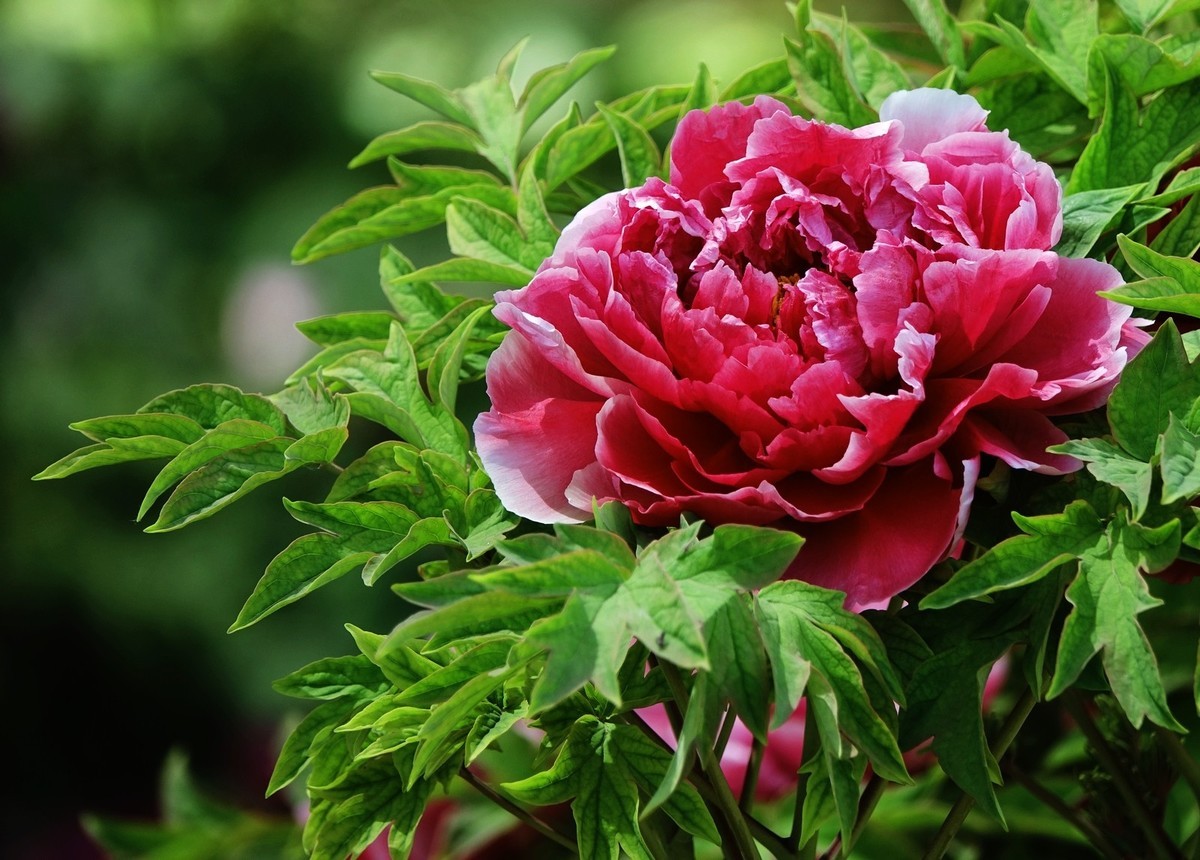 我只是把出去看到的随手记录下来（150）