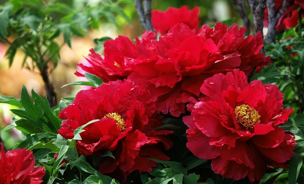 我只是把出去看到的随手记录下来（150）