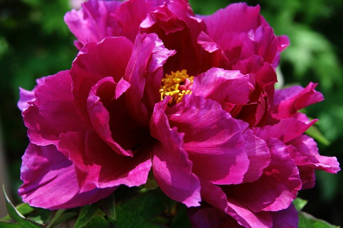 我只是把出去看到的随手记录下来（150）