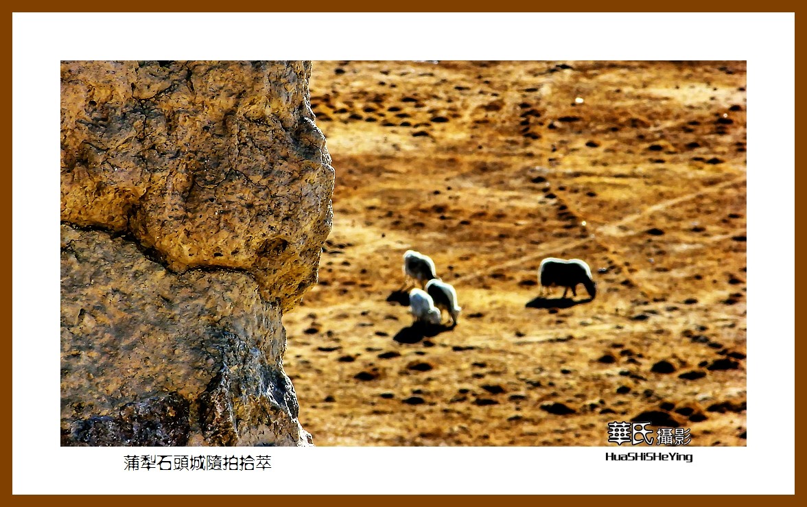 2023西行游记（新疆113）—蒲犁石头城随拍拾萃（喀什塔县）