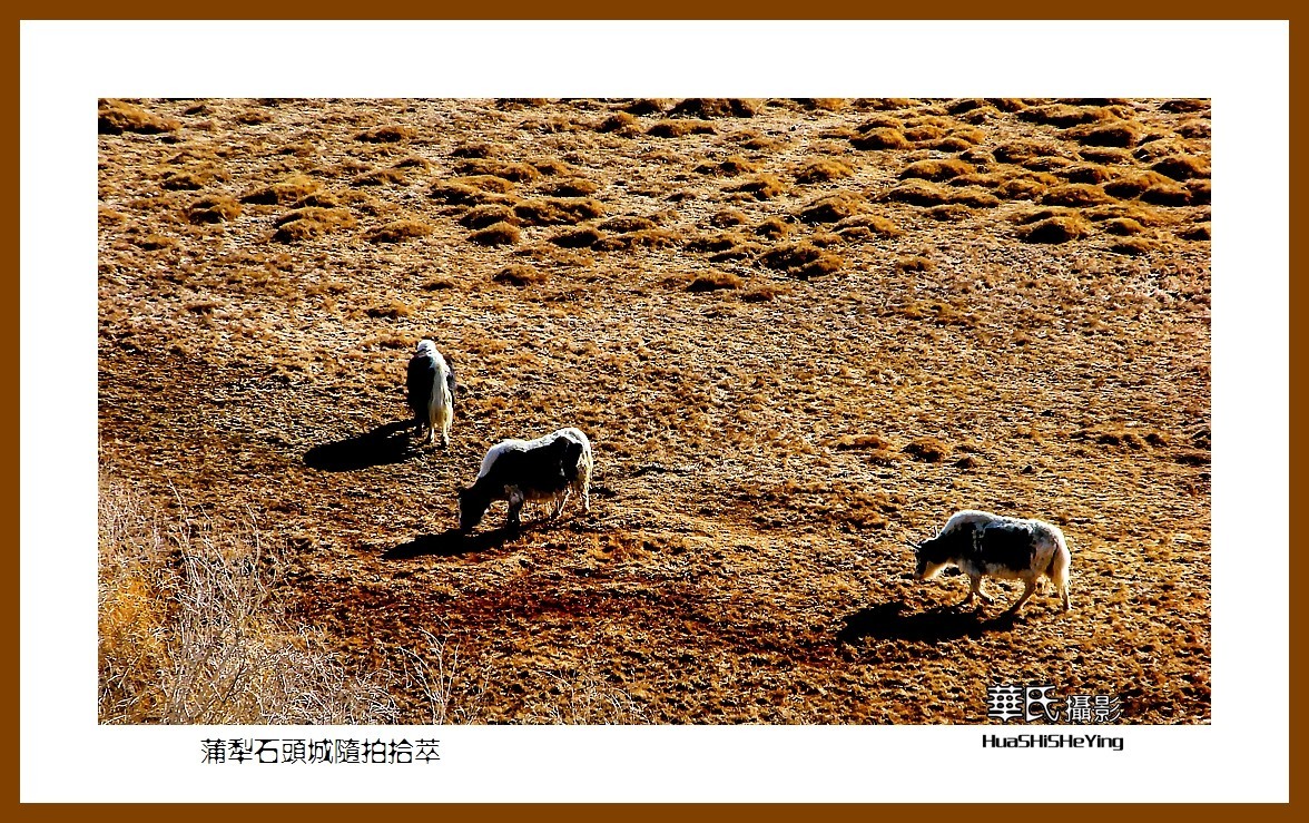 2023西行游记（新疆113）—蒲犁石头城随拍拾萃（喀什塔县）