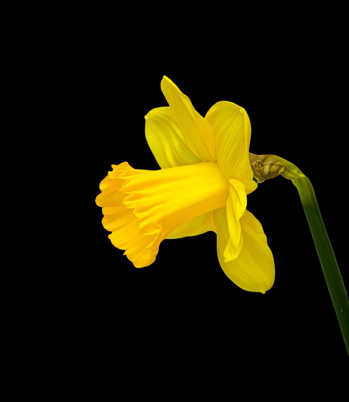 春游中山公园20250403 《10》