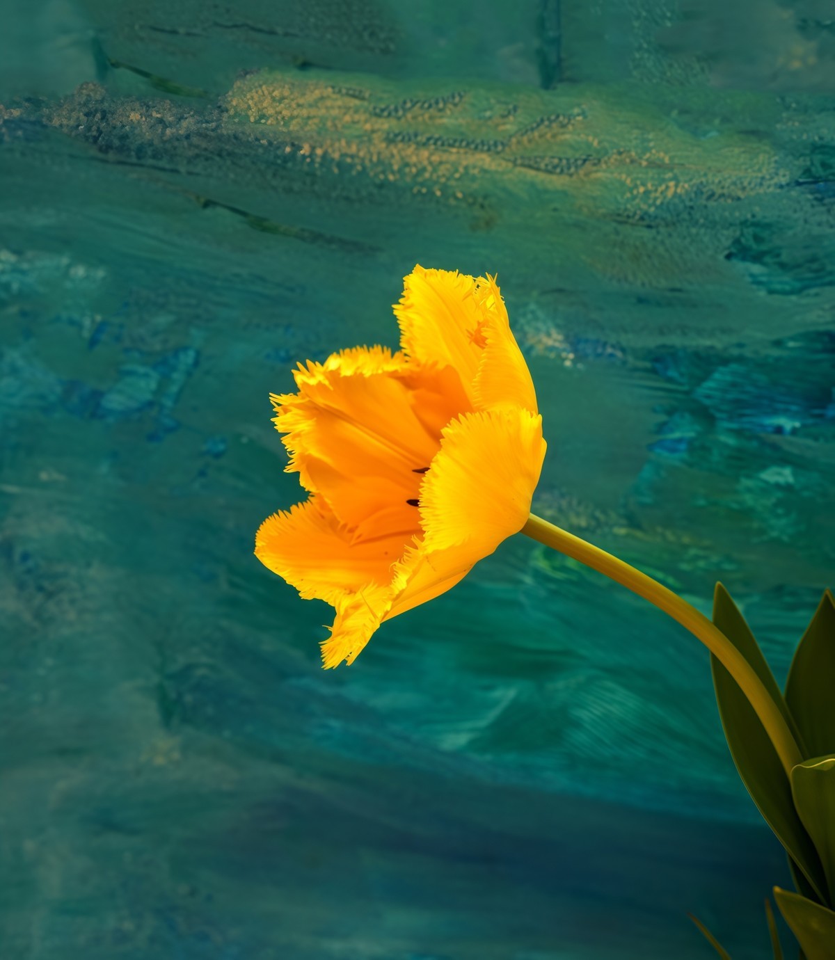 春游中山公园20250403 《10》