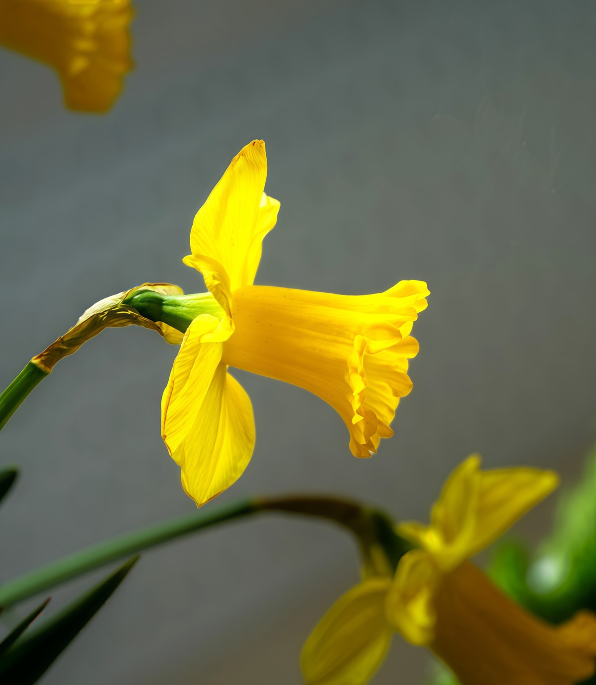 春游中山公园20250403 《10》