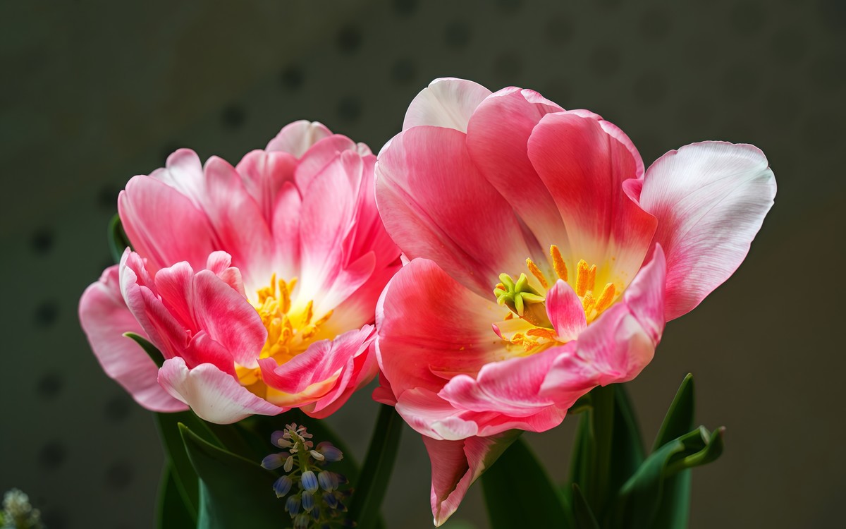 春游中山公园20250403 《10》