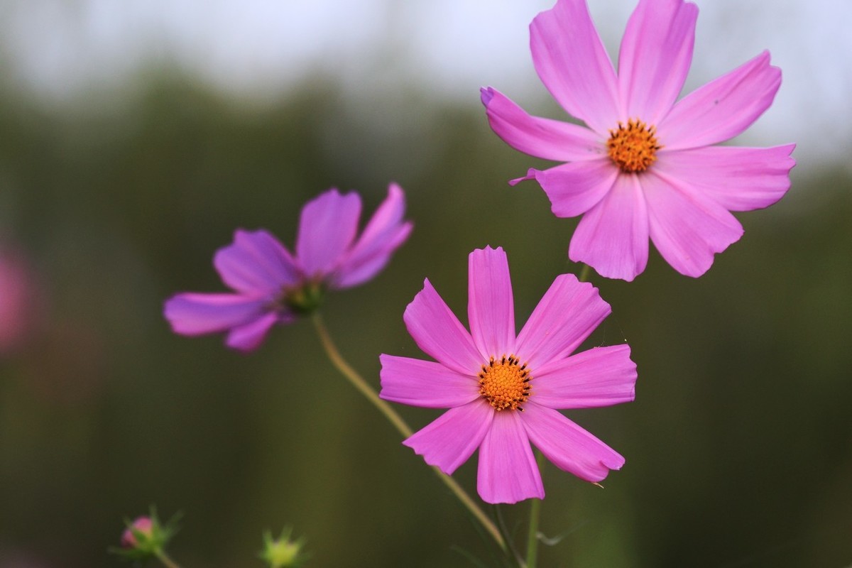 7D2是个好机器啊！