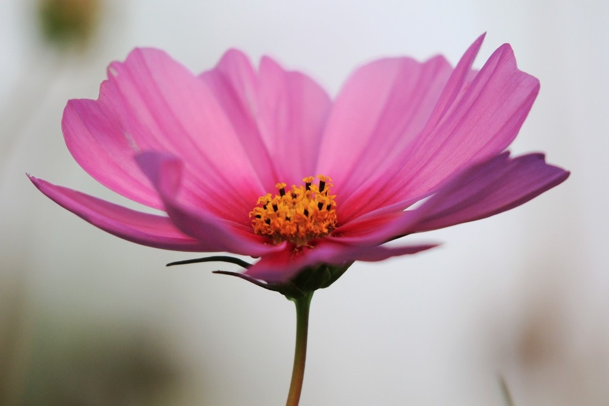 7D2是个好机器啊！