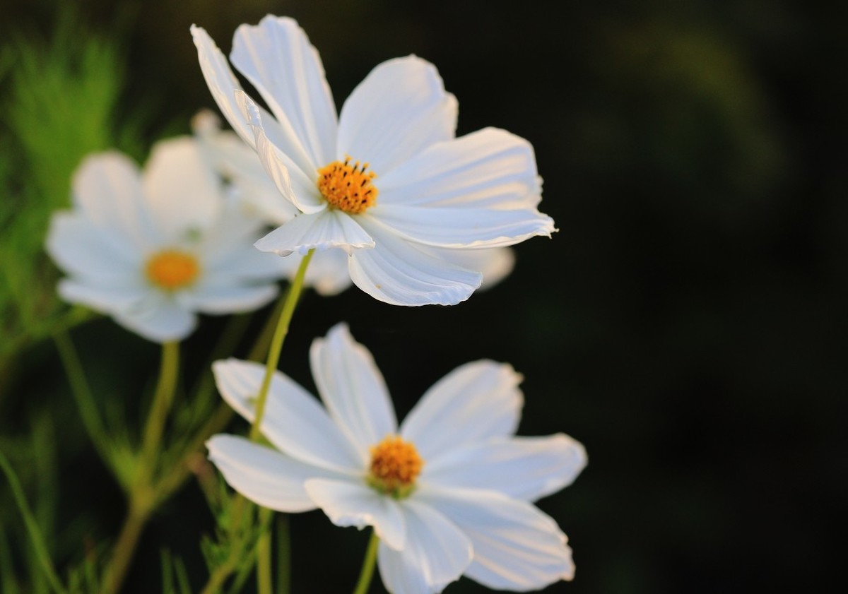 7D2是个好机器啊！