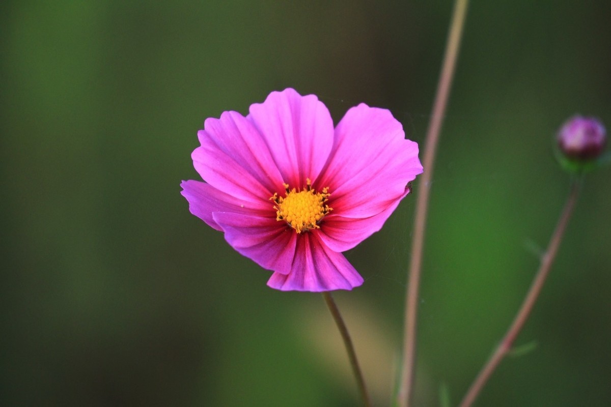 7D2是个好机器啊！