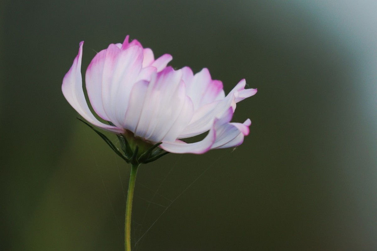 7D2是个好机器啊！