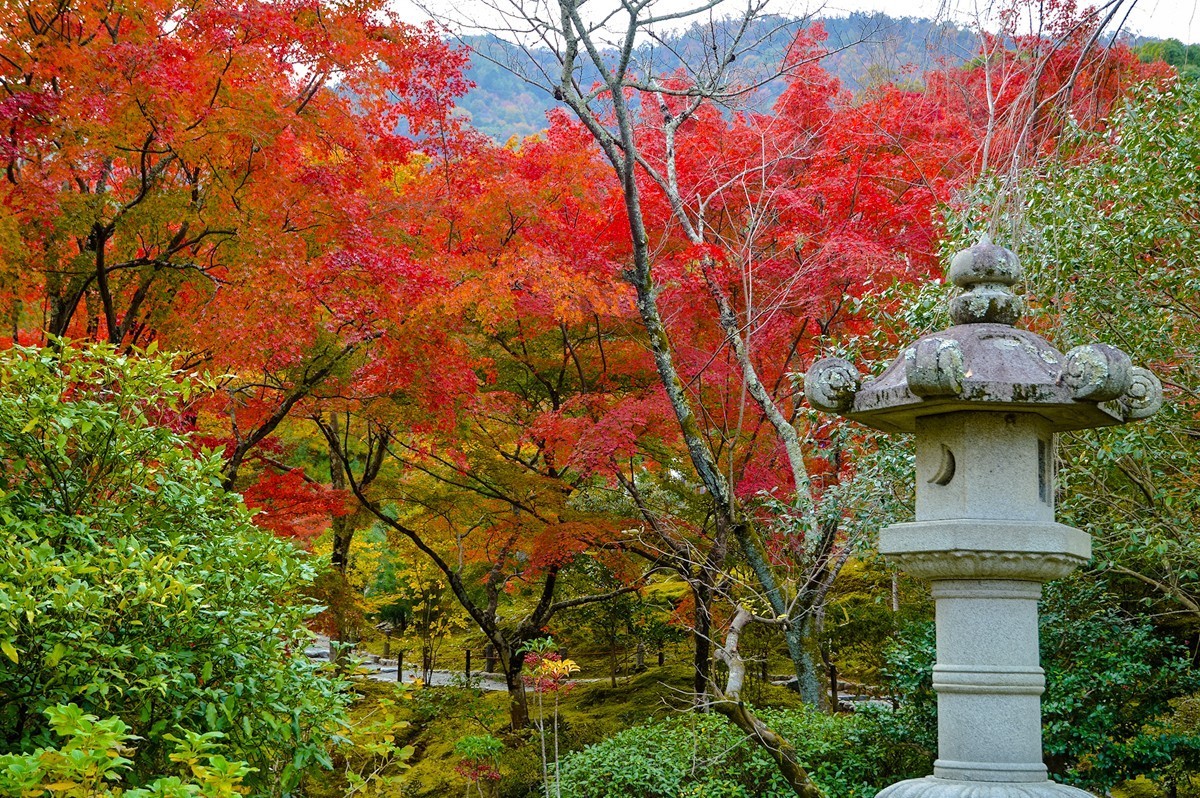 2019年京都天龙寺红叶-3-13