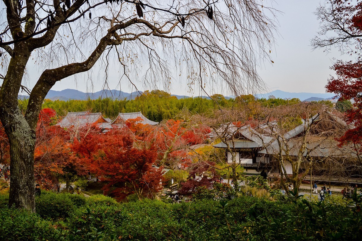 2019年京都天龙寺红叶-3-18