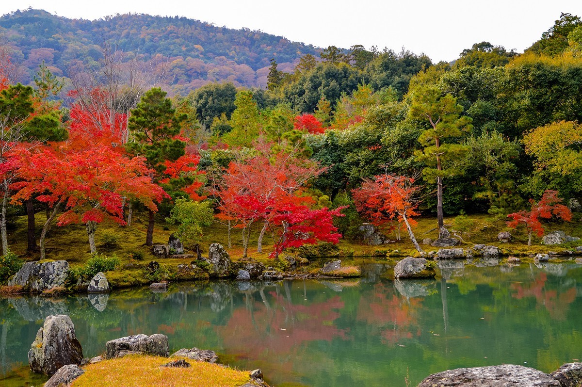 2019年京都天龙寺红叶-3-18