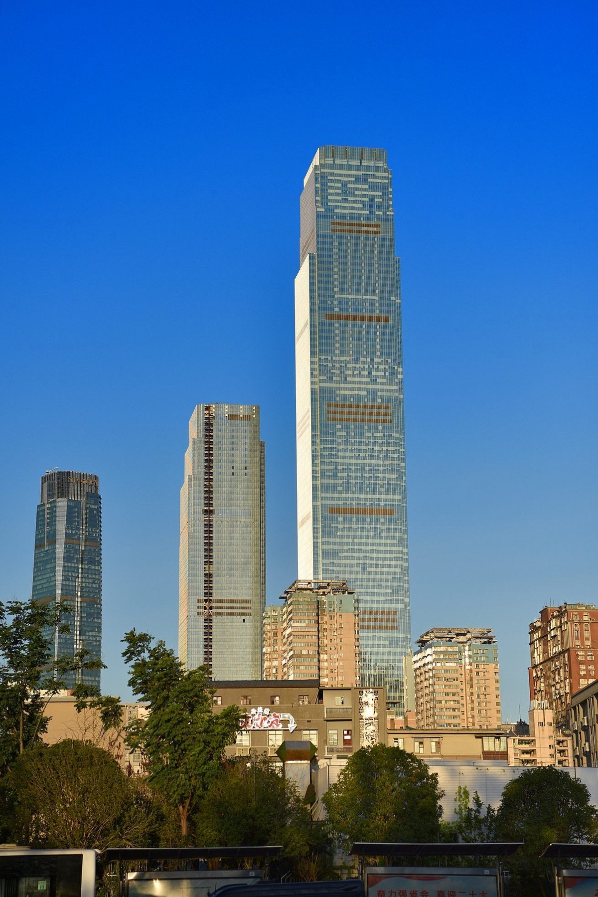 长沙湘江风光带盛夏美景(2)