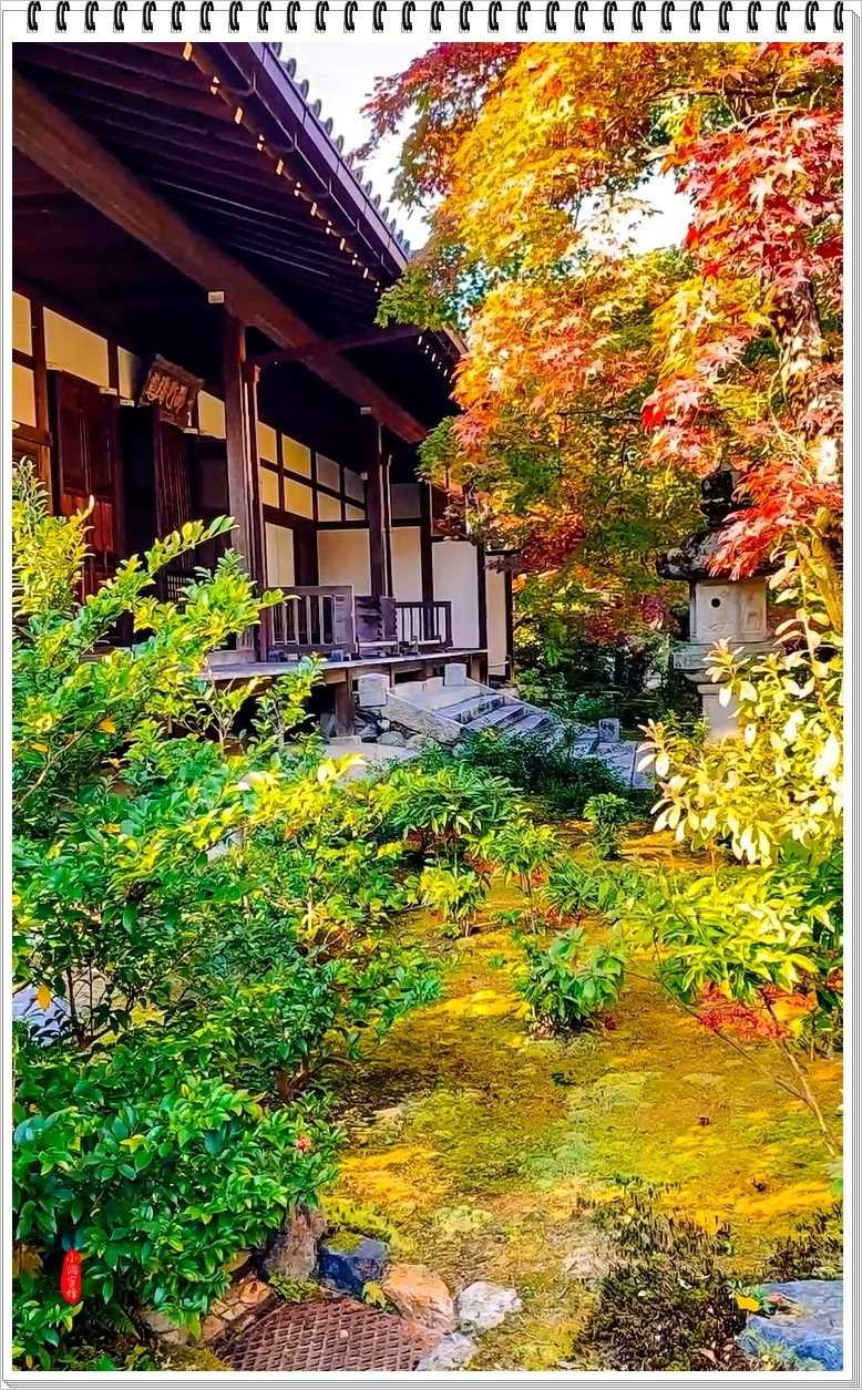 2022年京都岚山云拍-7